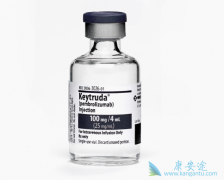 ��ķ����(Keytruda)����������PD-L1��������ʳ�ܰ����ߵ���������