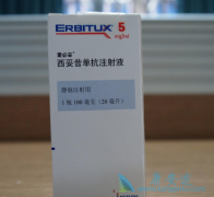 EGFR����¡����Ľ᳦�����ʺ�����������������