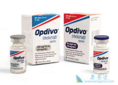 PD-1���Ƽ�Oҩ�����������ڸΰ�������