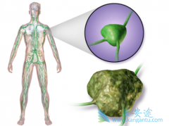 �ܰͰ�����֢״����������Щ���棿