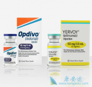 ���ڷ�Сϸ���ΰ�ʹ��Opdivo���Ƶ���Ч��ô����