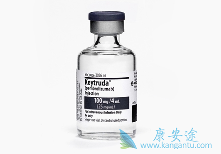 �������鵥��