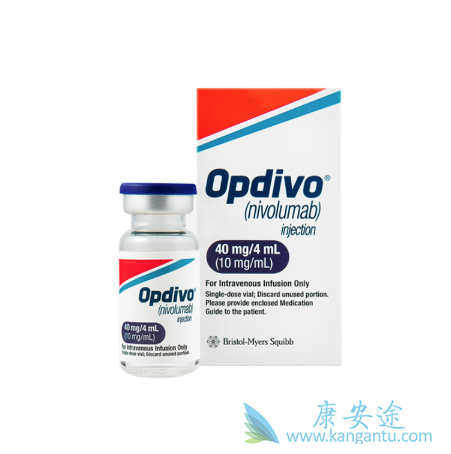 ��ֱ����