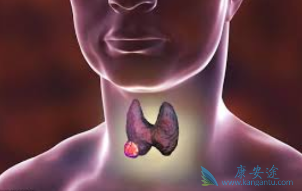 ��״������������