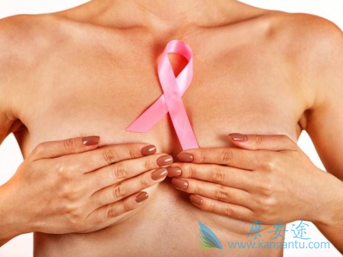 ���ٰ��ڷ�������