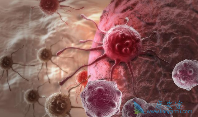 �����������������������