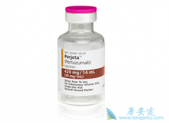 �����鵥�������п�����HER-2�������ٰ����Ƶ�˫��ʱ��