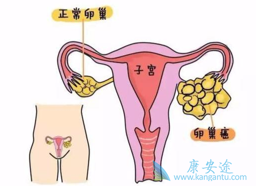 ����ҽ��