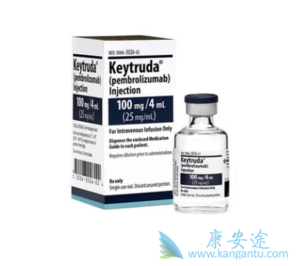 �������鵥��