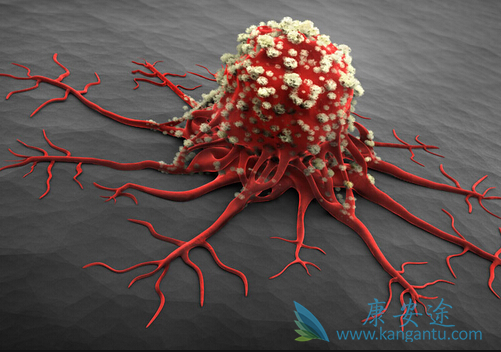 �����������������������