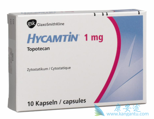 ���ڹ�����