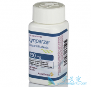 PARP���Ƽ�����������������Сϸ���ΰ���