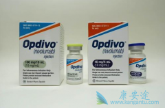 ���䵥��(nivolumab)��ҩ�����ɴ�ÿ����һ�θ�Ϊÿ��һ��