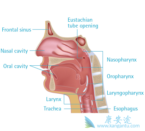 ���ʰ�����