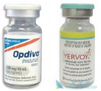 CTLA4���Ƽ���EGFR����ҩ�����ư�֢�������Щ�����ã�