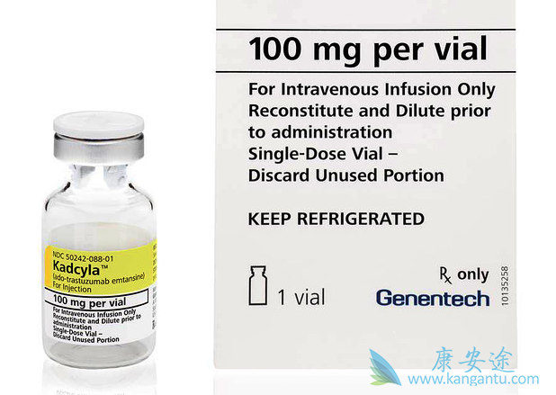 HER-2�������ٰ�