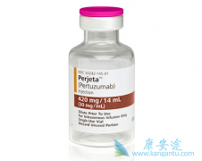 HER2�����������ٰ�ʹ�������鵥���������Ƶ���Ч��ô����