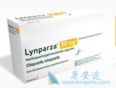 ���������ǹ��ڵ�һ���׼���е��ѳ���PARP���Ƽ�ҩ��