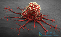 �������������������������ʲô����������������