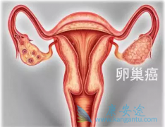 �ѳ���������֢״��΢���Է��ֲ����ױ�����