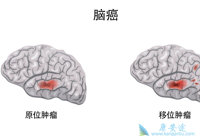 �Բ�����