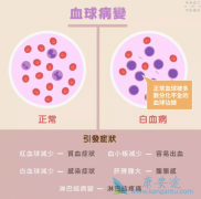 ��Ѫ��������֢״����Щ����Ѫ�����Ŵ��𣿰�Ѫ���Ŵ���