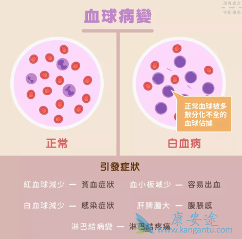 ��Ѫ��������֢״����Щ