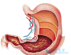 θ����ת�ƻ��߿��Խ�����ǰ������