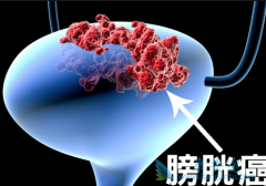 �ҹ����԰��װ��ķ����ʸ���