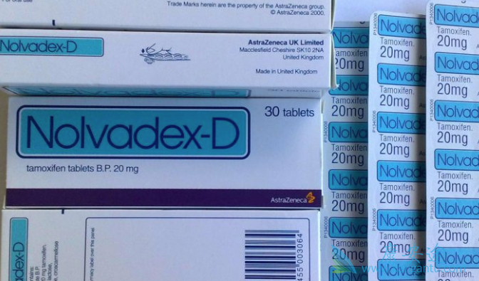 ��Ī����