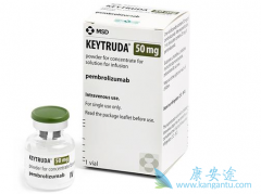 ���߼������Ƽ��������鵥���ܹ�����θ��������