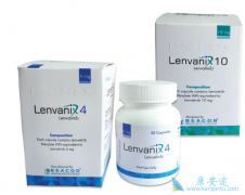 ���ڹ��ڵĸΰ�������˵�ַ�����Ч�������ڶ༪��