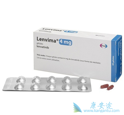 �ط�����