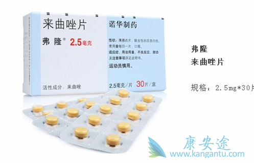 ������Ƭ