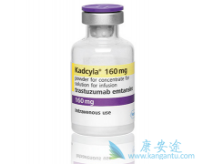 T-DM1����HER2���Ե�θ������Ч������