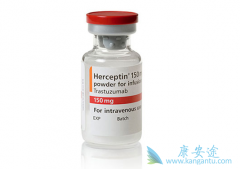 HER2�������ٰ������Ƽ�ʹ�������鵥����