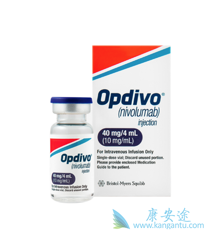 �������ȵ���