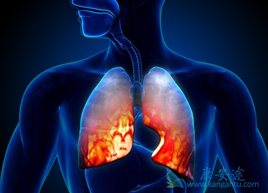 ���ڷ��۰�