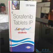 ӡ�ȶ༪���۸�������ܹ��ڻ��ߵĻ�ӭ