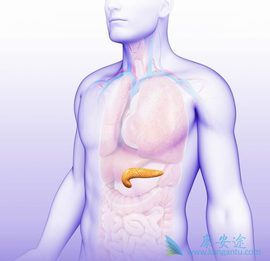 ���ٰ������ܻ���