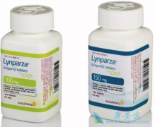 PARP���Ƽ��������������ѳ������ߵ�Ч���ͻ�������ĸ��ã�