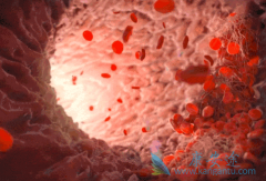 ��Щ֢״Ԥʾ�����ǿ��ܻ�����������ϸ����Ѫ����