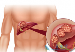 �Ҹ�����ĳ��ֶ����й��ΰ��ķ������л�����