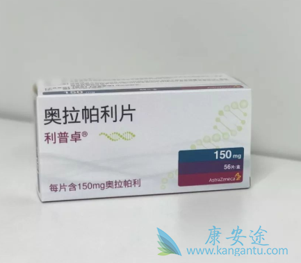 PARP抑制剂 PARP抑制剂