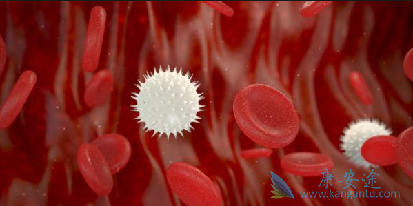 ��Ѫ���Ĳ���