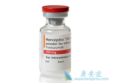 HER-2阳性乳腺癌 HER-2阳性乳腺癌