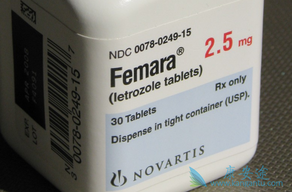 ������Ƭ