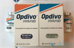 ���䵥��(Nivolumab)��������HCC����ͬ�����а�ȫ��