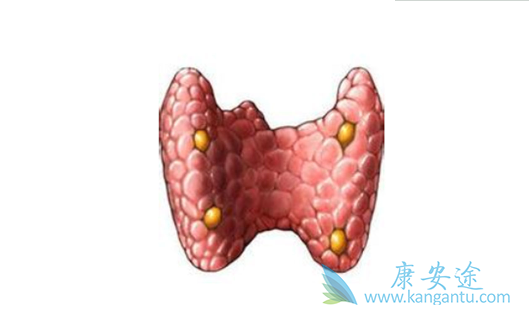 ��״������