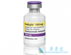 T-DM1(Kadcyla)��������HER2�����������ٰ�